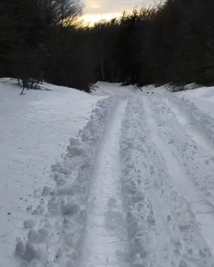 nieve 1